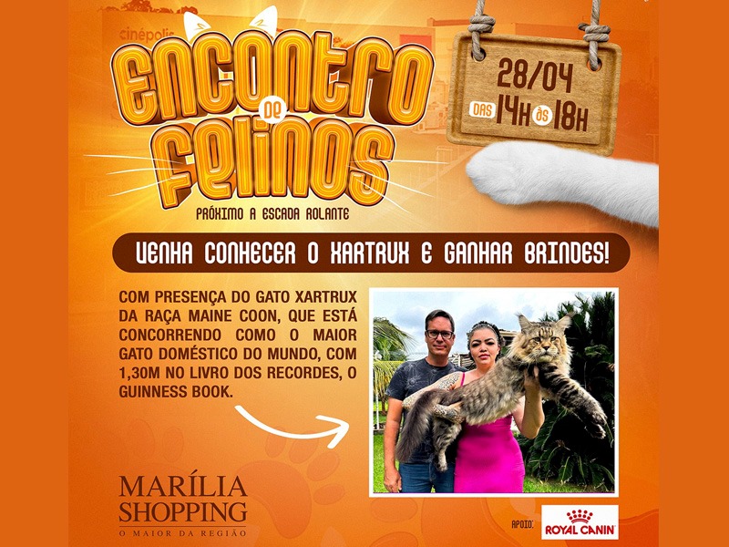 Marília Shopping recebe encontro de felinos